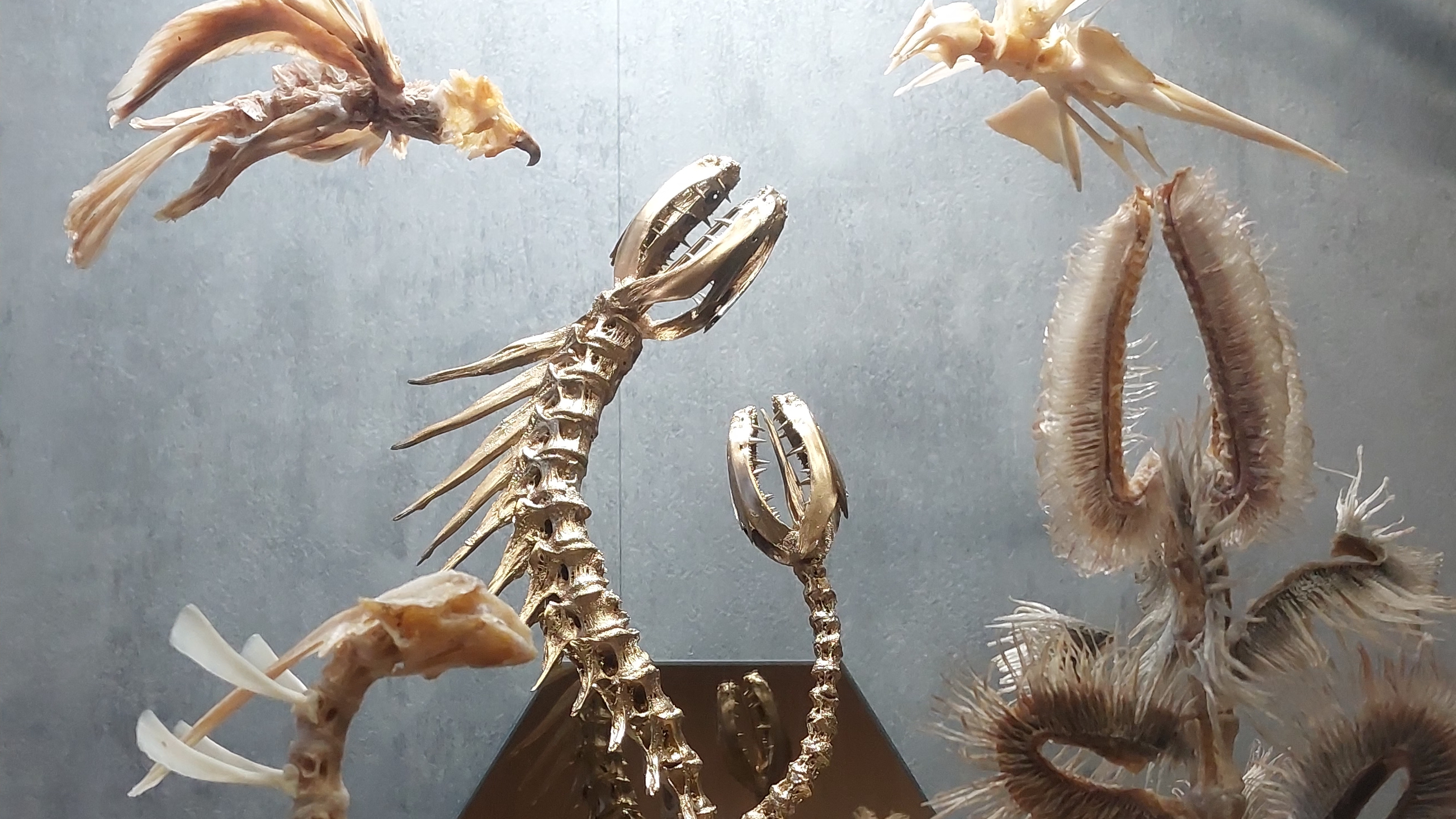 Параллельные миры 🛠Макара Самоделкина Хабаровского ⚒️ Поделки из костей рыб КОЛЛЕКЦИЯ МОНСТР&ФИШ