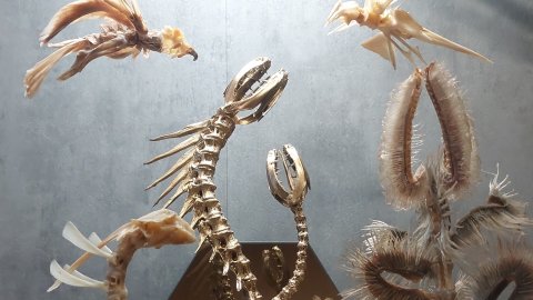 Параллельные миры 🛠Макара Самоделкина Хабаровского ⚒️ Поделки из костей рыб КОЛЛЕКЦИЯ МОНСТР&ФИШ