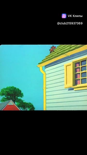 том и джери