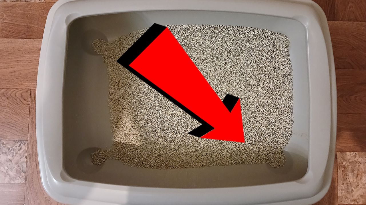 Как избавиться от запаха кошачьей мочи За 3 Секунды.!