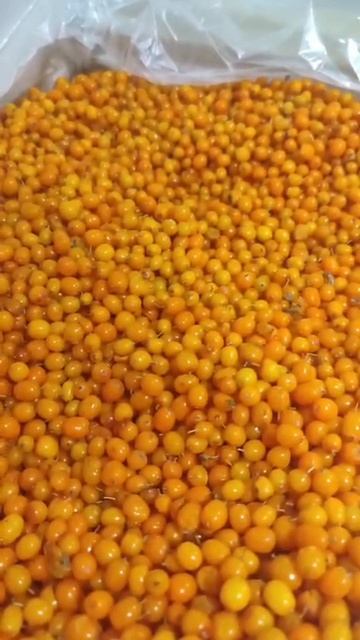 Облепиха очищенная дикорастущая замороженная Экстра 10кг