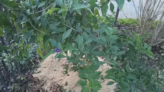 Вот и к нам пришла зима.