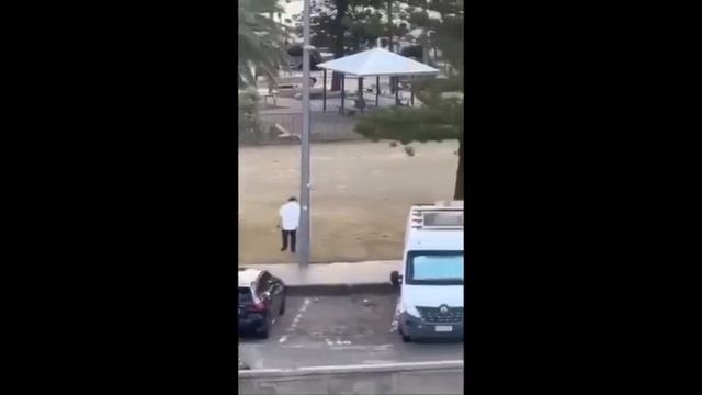 Видео от Аварийка LIVE | ДТП и ЧП России