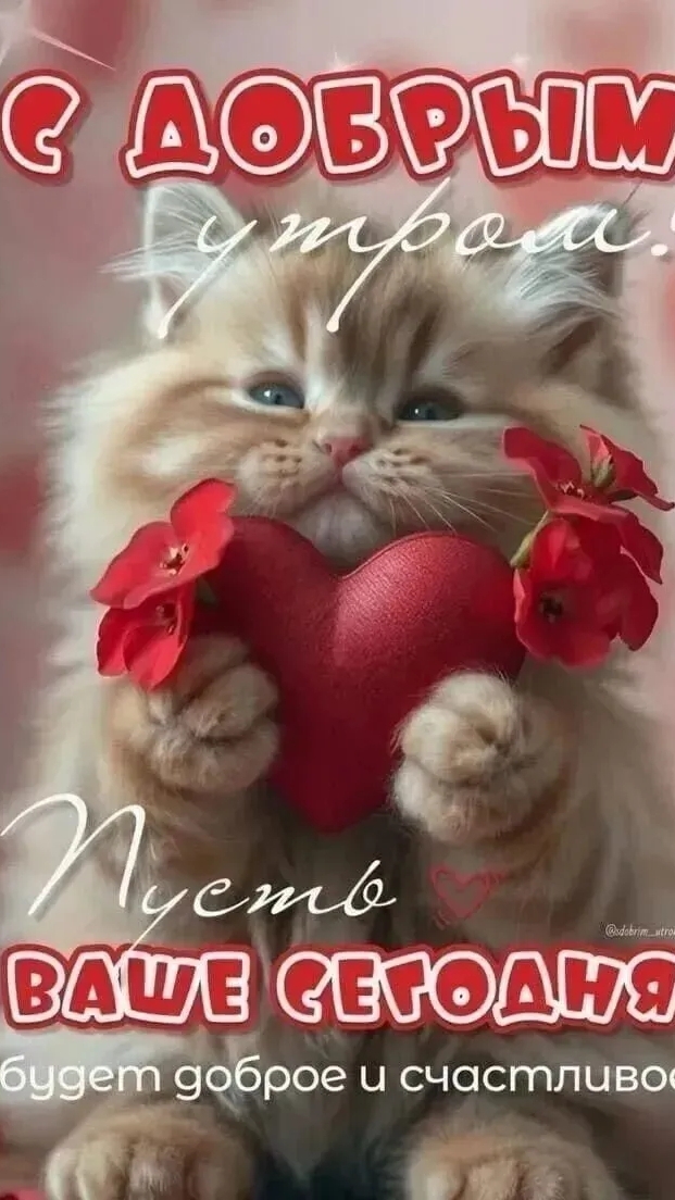 Доброе утро !