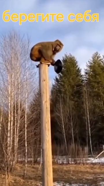 #Пожалуйста!Слушайтесь и не бойтесь!❤