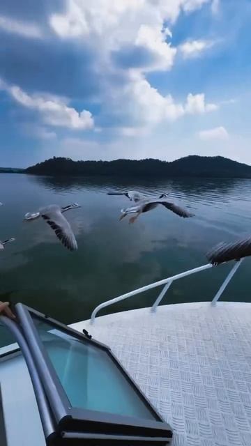 Приколов TV 🤣