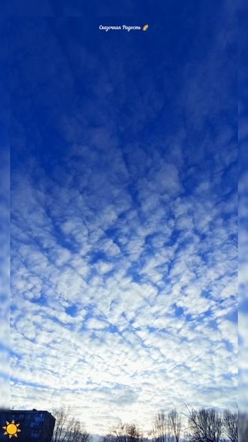 #снежнаязима #феральские #зарисовки #зимний #саратов #красиво #небо #деревья #событиедня #22февраля2