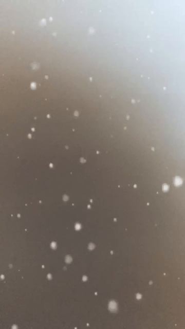 аффирмации на благополучие и изобилия на 2026 год