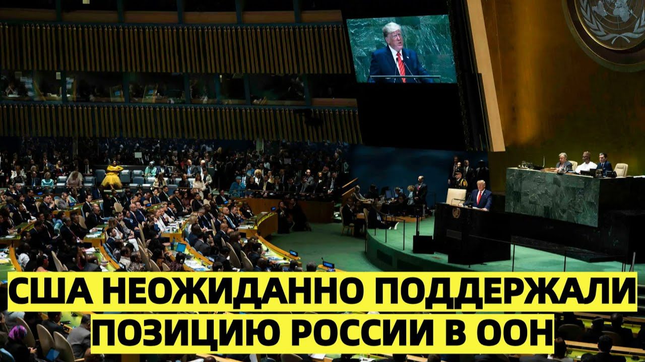 Американцы неожиданно встали на сторону России в ООН