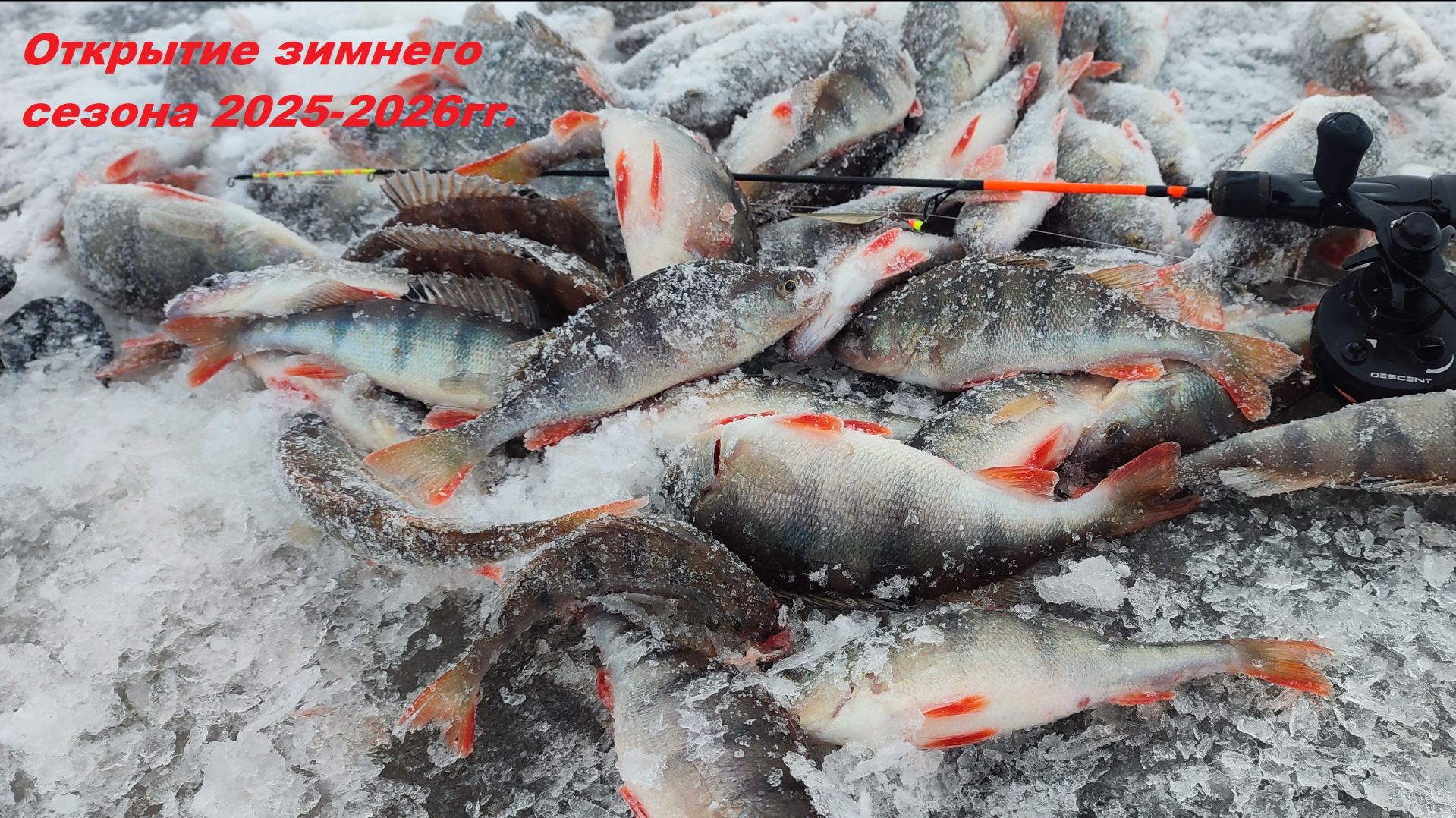 Открытие зимнего сезона 2025-2026гг