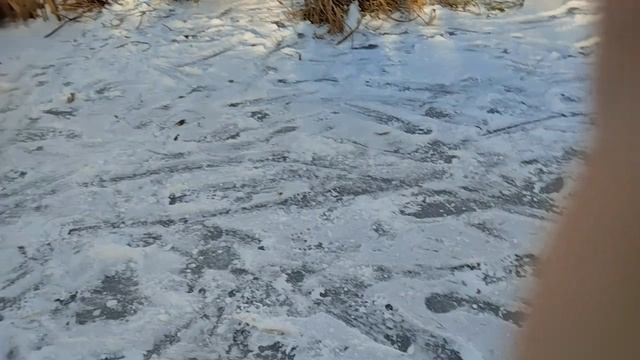 мы с Даней опять за своё