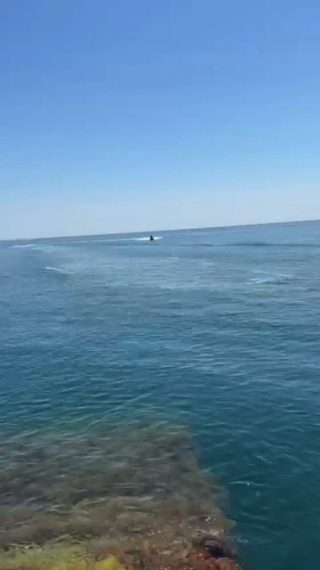 Крым Судак Гидрик