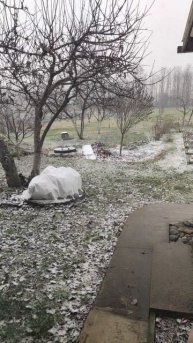 Вот и к нам пришла зима...