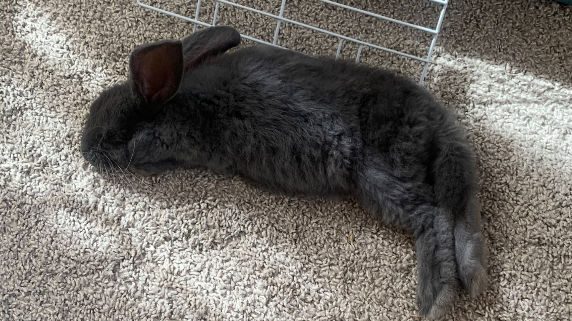 Дом милый дом:)