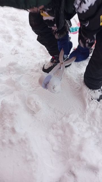 Из снежколепа череп Амира слепил голову черепа