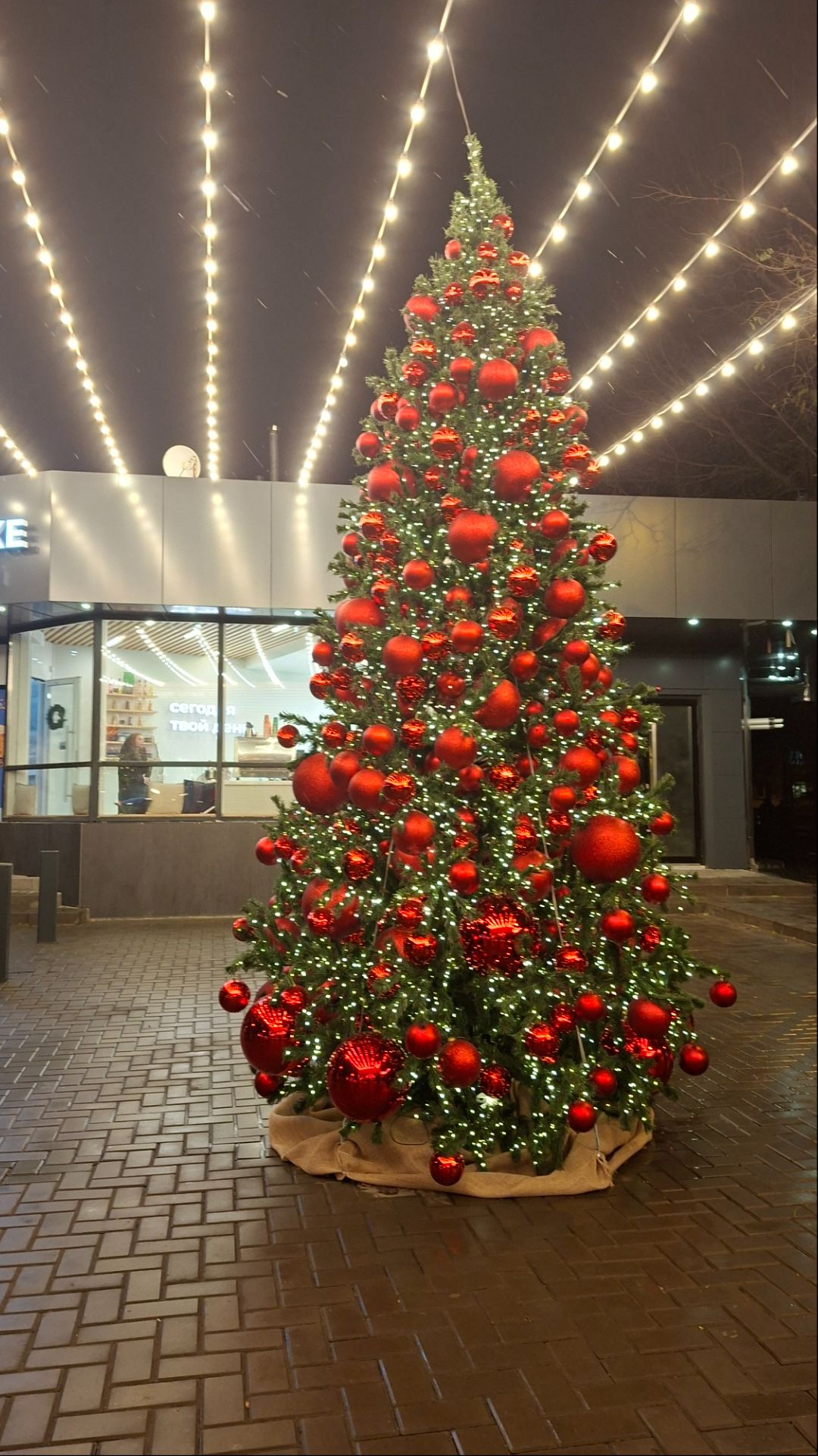 Эмилия занимается спортом #shorts #dance