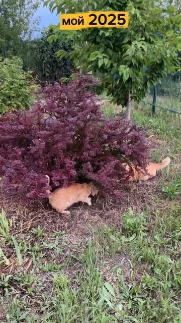 скоро будем уже подводить итоги уходящего года ☺️