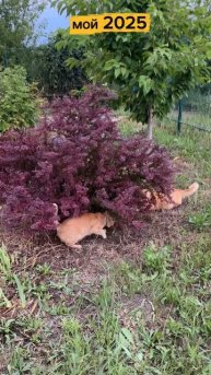 скоро будем уже подводить итоги уходящего года ☺️