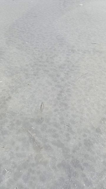 На грани, по тонкому льду!