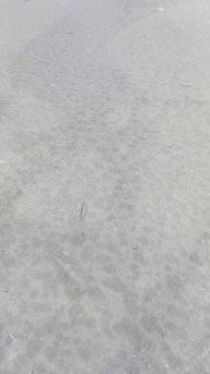 На грани, по тонкому льду!