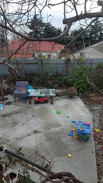 1000152973.mp4Декабрь