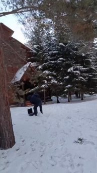 Лазертаг в Ëлочке 🌲