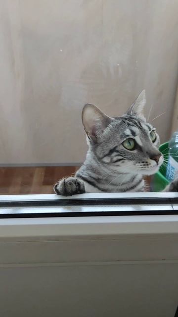 ограничение свободы