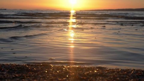 ТРИ СЕРДЦА С ОДНОЙ ЛЮБОВЬЮ