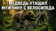 Он ехал на велосипеде — через секунду гризли повалил его и начал разрывать