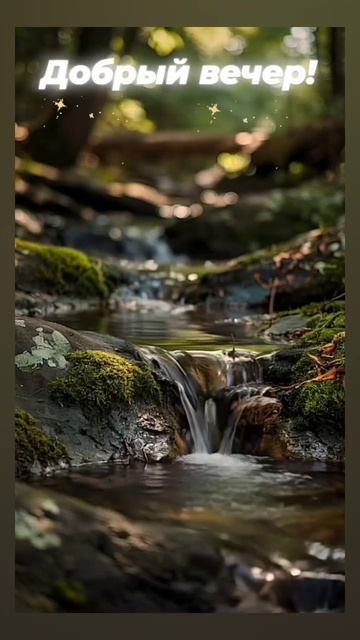 ДОБРЫЙ ВЕЧЕР! 😁😁😁 15.12.2025г. Уюта и тепла в доме, доброты и нежности в душе! 🤗🤗🤗