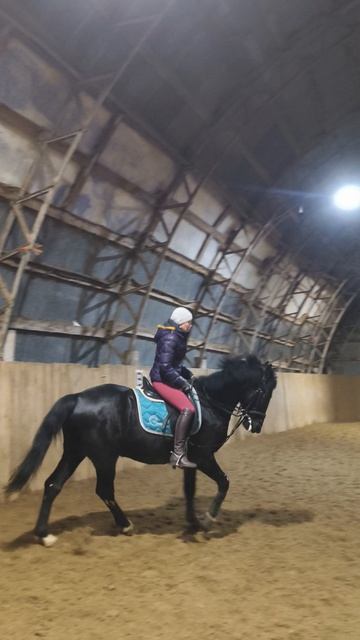 Оксана Новикова и Рокас Вэлл, галоп по кругу в манеже.