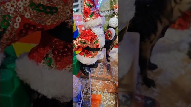 новогодниие истории часть 1