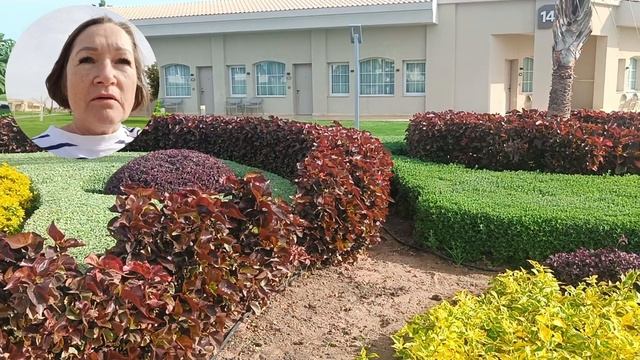 PICKALBATROS LUXURY HOTEL 5.ШАРМ ЭЛЬ ШЕЙХ.ДНКАБРЬ 2025.