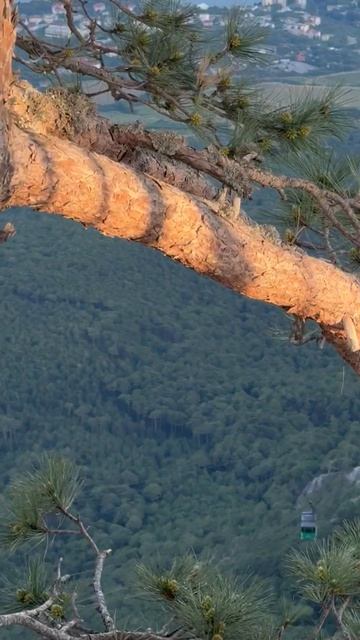 Ай Петри Крым Ялта 2025