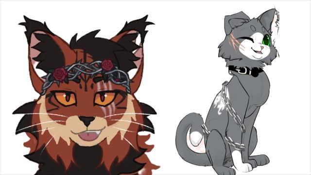 как менялись мои ОС? //Скалистая Звезда кв //★