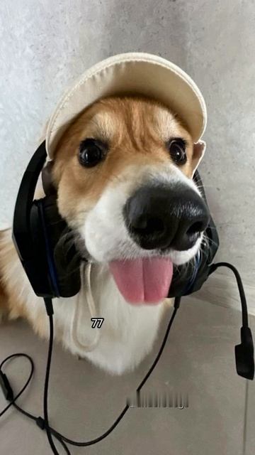 В итоге какой номер?