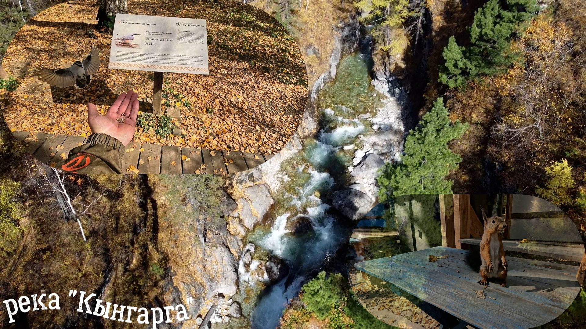 Осень в Аршане