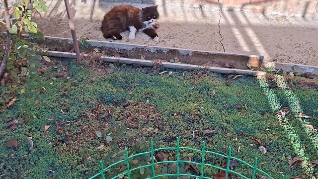 первый мороз 14 декабря 2025г