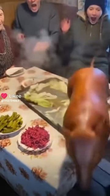 Свинка нейросетью