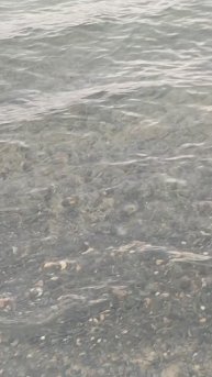 Поменяли место