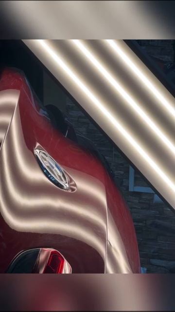 whatsapp-video-2023-12-12-at-13.22.32 (1)