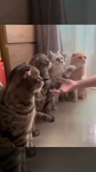 здравствуйте, доброе утро #shorts