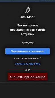 📱 Приложения для видеозвонков, работающие в России