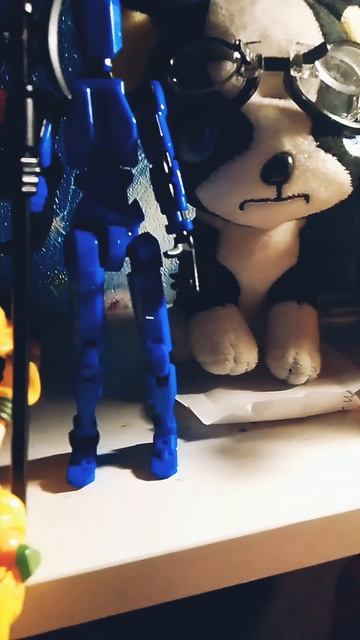 показываю вам свою полку