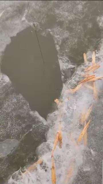 #рыбалкапервыйлёд