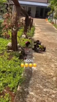 Кадры шокирующего ДТП