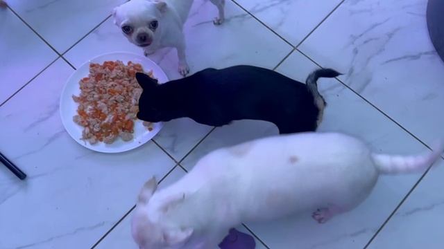 Сегодня аппетитом все радуют.