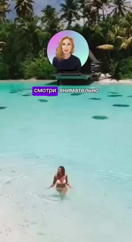 ✈ ПРЕДСТАВЬ: