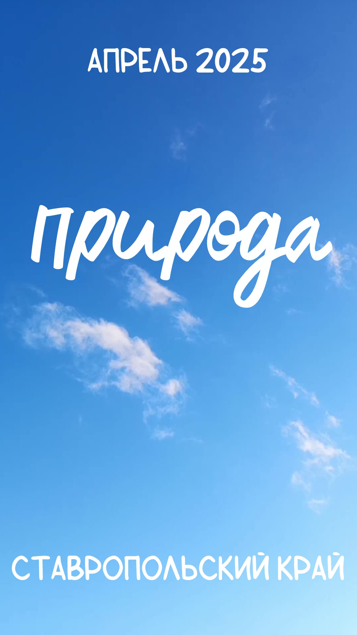 Природа. Апрель 2025 года. Ставропольский край.