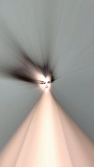 ПАЛЬМЫ В СОЧИ